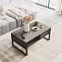 Hanah Home Ml34-Rg Mesa de Centro con Estantes y Estructura Metálica Plata